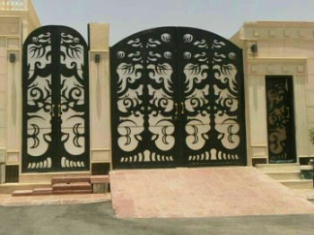 Laser Designed Gates design 10 by Paradiso Technologies